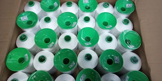 400 g Fios de nylon de alta resistência Tex135 420D/3 Fios de costura de couro de poliéster para mercadorias