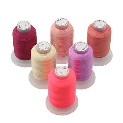 Fios de bordado de máquina 60wt 40wt Poliéster multicolor 120d/2 1000m para bordado