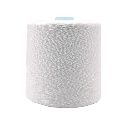 100% de fios de poliéster Amostra gratuita sem frete e suporte OEM/ODM