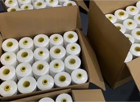 40/3 Fios de revestimento para bordas de teares, resistência química, poliéster, fios de costura 500g