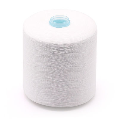 Fios de poliéster 100% de OEM 20/2 30/2 40/2 50/3 para 100-500g