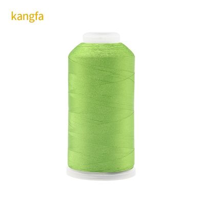 120g Peso líquido 120D/2 Alta resistência à cor Resiliência ao poliéster Fios de bordado para ponto